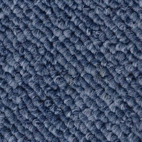 Light Blue Carpet