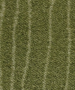 green striped carpet